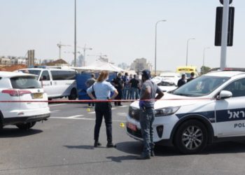 שלומי ניאמצ'יק