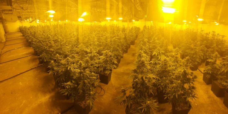 מגה מעבדת סמים