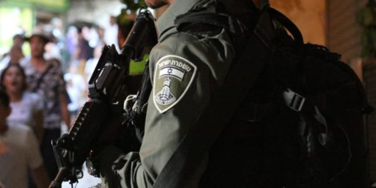 ליה מנשה דניאל חובב