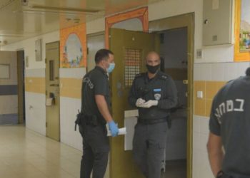 עורך דין לפשיטות רגל