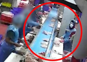 תיעוד: חשוד ברצח זורק סכין שננעצת בחזה של המנוח: פוענח הרצח במפעל עופות בלוד