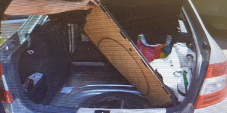 גניבת נשק מחייל