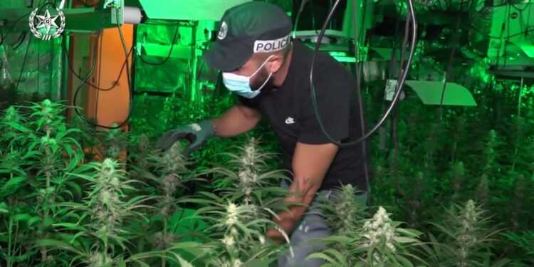 גל מעצרים בי-ם: נעצרו 15 חברי רשת שהפעילה מעבדות לגידול סמים בערים שונות בארץ