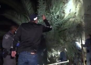 גל מעצרים בבאר שבע: סוכן סמוי הפליל עשרות חברי ארגוני פשע מתחום הסמים