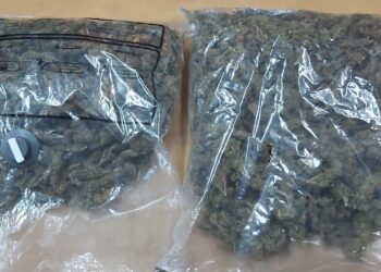 סליק סמים עם 2 ק"ג מריחואנה, קוקאין וכדורים אותר בשטח פתוח בטייבה סמוך לכביש 6