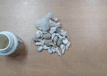 סליק סמים עם 2 ק"ג מריחואנה, קוקאין וכדורים אותר בשטח פתוח בטייבה סמוך לכביש 6
