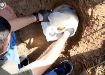 תיעוד: אקדחים גנובים ואקסטזי אותרו במתחם קרוואנים בראשל"צ: ארבעה נעצרו