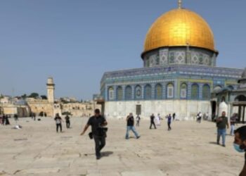 חאתם ג'רושי, מראשי משפחת הפשע נדקר למוות ברחבת הר הבית