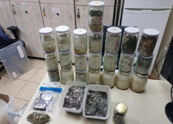 בת 50 נעצרה בחשד שגידלה פטריות הזייה בדירתה במושב במישור החוף