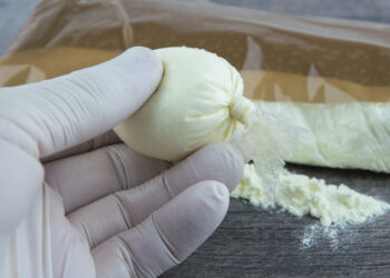 2 תושבי חיפה חשודים בייבוא 9 ק"ג קוקאין מדרום אמריקה בשווי כ 4 מיליון ש"ח