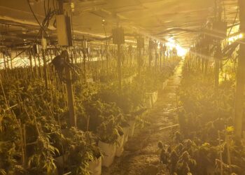 נחשפה  מעבדת סמים בגודל דונם וחצי מתחת לאדמה באזור ראשל"צ: 7 חשודים נעצרו