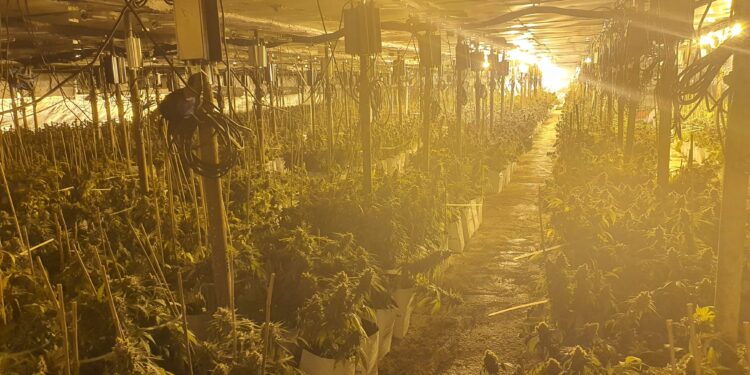 נחשפה  מעבדת סמים בגודל דונם וחצי מתחת לאדמה באזור ראשל"צ: 7 חשודים נעצרו