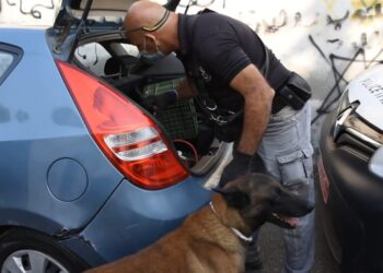 תיעוד: פשיטה משטרתית בכפר כנא: 8 חשודים בעבירות ירי ואלימות נעצרו