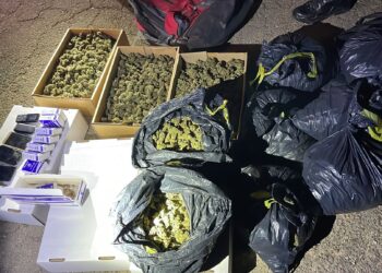 ירושלים: ניסה להימלט משוטרים במחסום ונתפס עם 11 ק"ג קנאביס