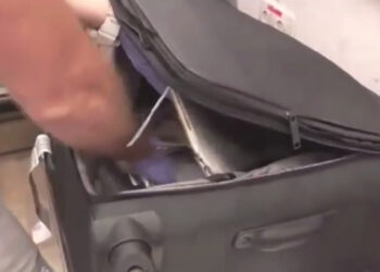 הקשר הבלגי: ארבעה נאשמים בייבוא כ- 50000 טבליות MDMA בדופן כפולה במזוודה