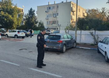 אלון סימונדייב