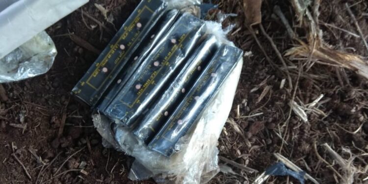 5 לבנות חבלה, חלקי מטען, רובים, אקדחים ותחמושת: מצבור נשק התגלה בכפ"ס