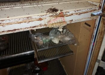 גל מעצרים בצפון: 11 צעירים מחיפה חשודים שהפעילו תחנת סמים בעיר