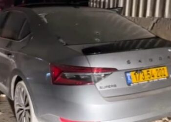 אלון סימונדייב