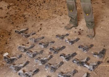 תיעוד: סוכלה הברחת נשק בבקעת הירדן: 24 אקדחים נתפסו