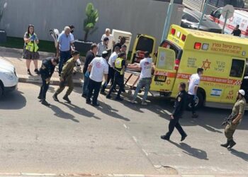 שלום דומרני