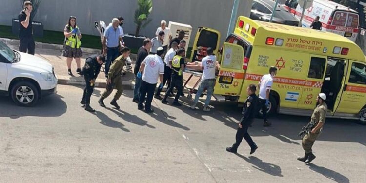 שלום דומרני