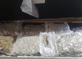 המכס באשדוד נדהמו מכמות הקנאביס שתפסו מוסלקים במכולה- צפו בתיעוד