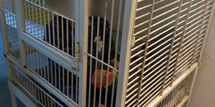 מחריד: שוטרים שהגיעו לחפש סמים בדירה בחיפה מצאו תינוק כלוא בכלוב ברזל