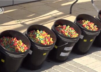 זה החשוד מנתיבות שבביתו נתפסו דובוני הקנאביס: בעבר נקשר לארגון בני שלמה