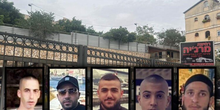 טבח פלילי ביפיע, ירי בכביש 5, בנצרת ובכפר כנא: שבעה בני אדם נרצחו ביממה