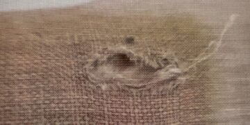 בעל דירה בירושלים התקין לדיירת מצלמה נסתרת בדירה השכורה