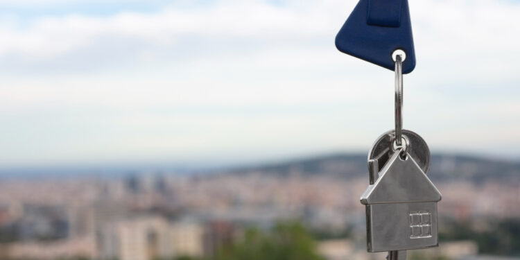 יעקב הימלפרב מסביר דברים שחשוב לדעת על רישום קרקעות