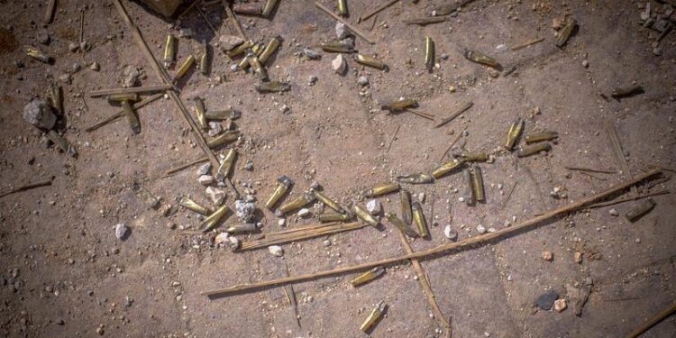 תחמושת צילום: פלאש 90