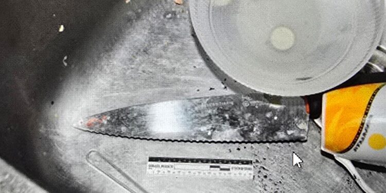 הסגין ששימשה את האישה לדקירת בן זוגה