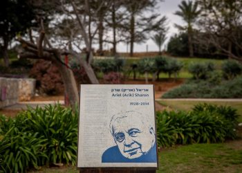 פארק אריאל שרון. זירת הדקירה צילום: פלאש 90