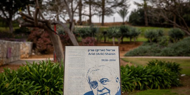 פארק אריאל שרון. זירת הדקירה צילום: פלאש 90